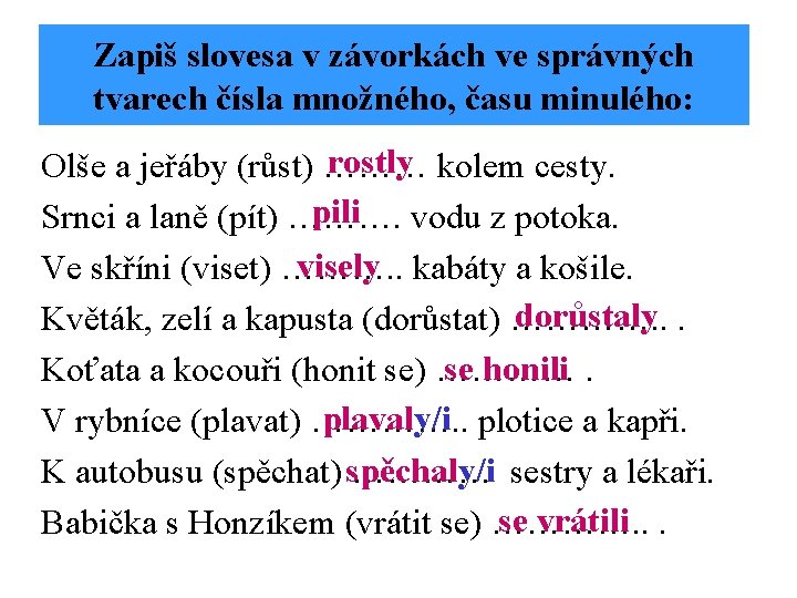 Zapiš slovesa v závorkách ve správných tvarech čísla množného, času minulého: rostly kolem cesty.