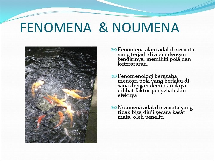 FENOMENA & NOUMENA Fenomena alam adalah sesuatu yang terjadi di alam dengan sendirinya, memiliki