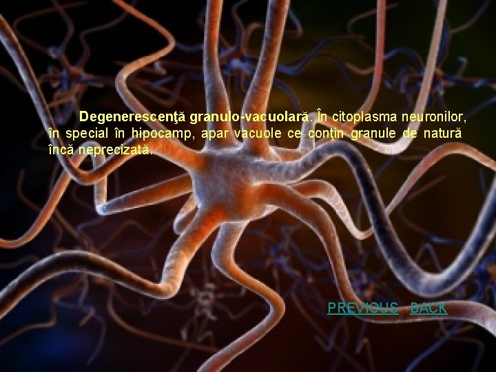 Degenerescenţă granulo-vacuolară. În citoplasma neuronilor, în special în hipocamp, apar vacuole ce conţin granule