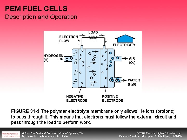 PEM FUEL CELLS Description and Operation FIGURE 31 -5 The polymer electrolyte membrane only