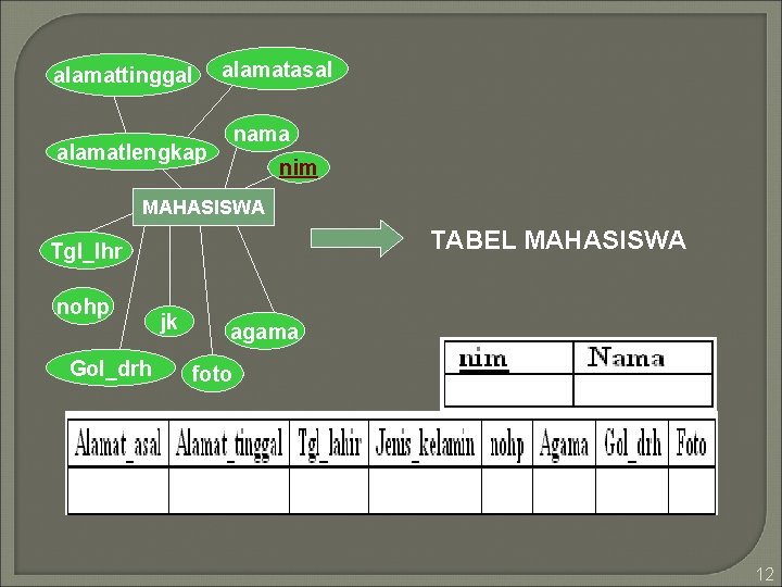 alamattinggal alamatasal nama alamatlengkap nim MAHASISWA TABEL MAHASISWA Tgl_lhr nohp Gol_drh jk agama foto