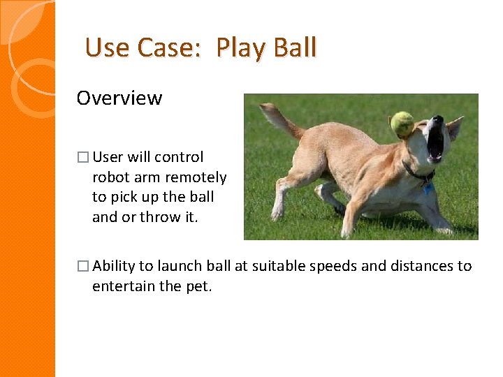 Use Case: Play Ball Overview � User will control robot arm remotely to pick