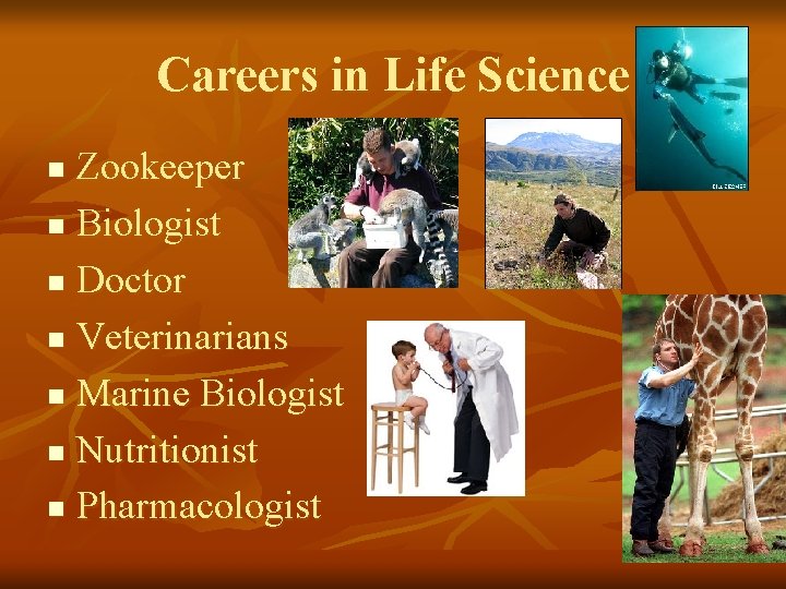 Careers in Life Science Zookeeper n Biologist n Doctor n Veterinarians n Marine Biologist