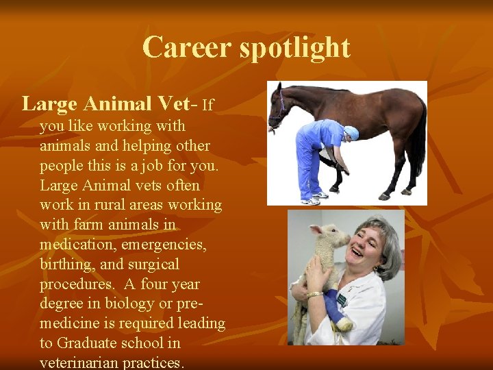 Career spotlight Large Animal Vet- If you like working with animals and helping other Career spotlight Large Animal Vet- If you like working with animals and helping other