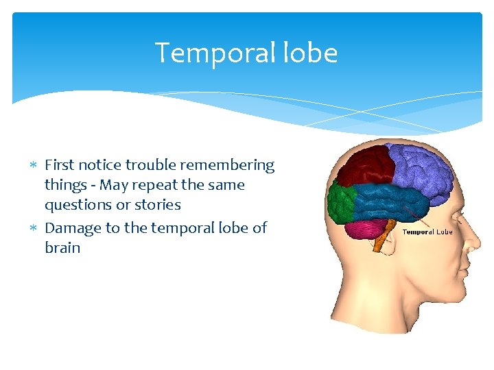 Temporal lobe First notice trouble remembering things - May repeat the same questions or