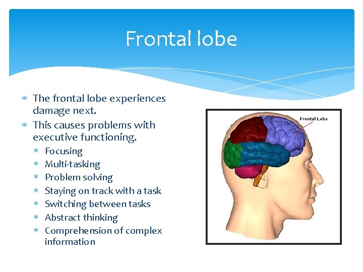 Frontal lobe The frontal lobe experiences damage next. This causes problems with executive functioning.