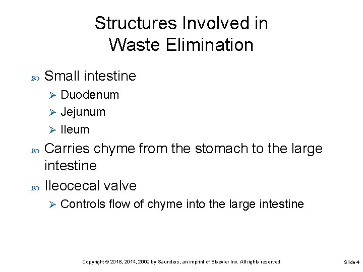 Structures Involved in Waste Elimination Small intestine Duodenum Ø Jejunum Ø Ileum Ø Carries