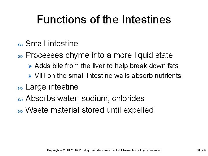 Functions of the Intestines Small intestine Processes chyme into a more liquid state Adds