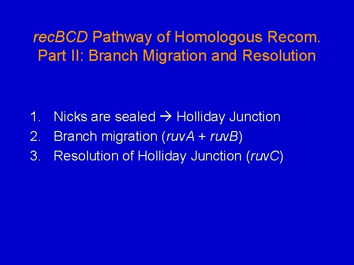 rec. BCD Pathway of Homologous Recom. Part II: Branch Migration and Resolution 1. Nicks