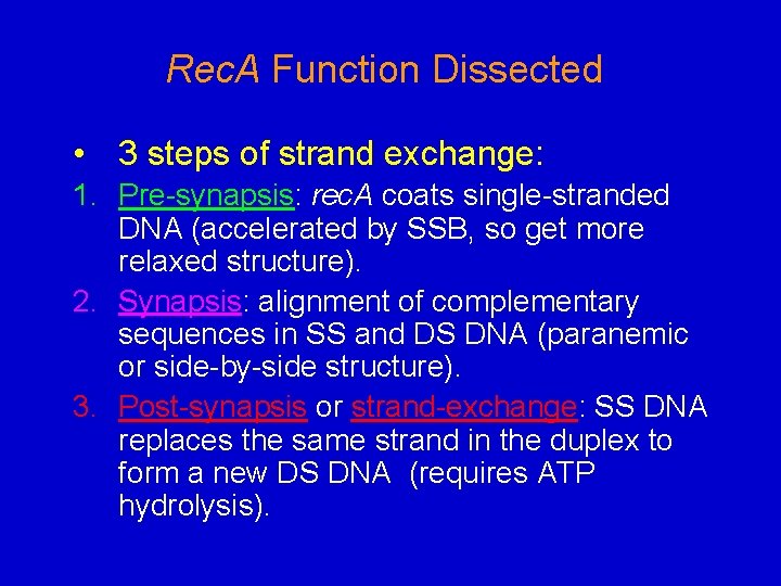 Rec. A Function Dissected • 3 steps of strand exchange: 1. Pre-synapsis: rec. A