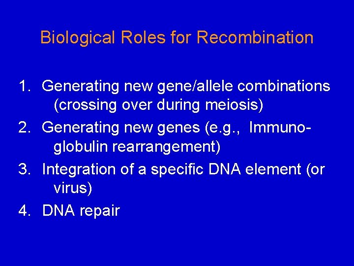 Biological Roles for Recombination 1. Generating new gene/allele combinations (crossing over during meiosis) 2.