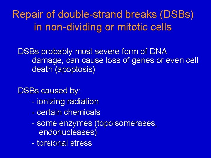 Repair of double-strand breaks (DSBs) in non-dividing or mitotic cells DSBs probably most severe