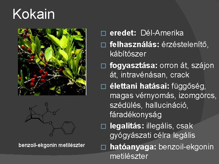 Kokain � � � benzoil-ekgonin metilészter � eredet: Dél-Amerika felhasználás: érzéstelenítő, kábítószer fogyasztása: orron