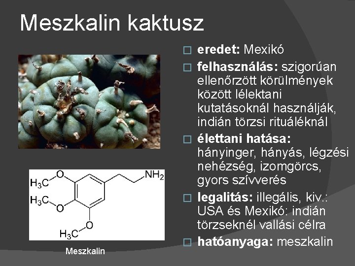 Meszkalin kaktusz � � Meszkalin � eredet: Mexikó felhasználás: szigorúan ellenőrzött körülmények között lélektani