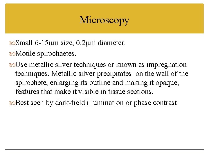 Microscopy Small 6 -15µm size, 0. 2µm diameter. Motile spirochaetes. Use metallic silver techniques