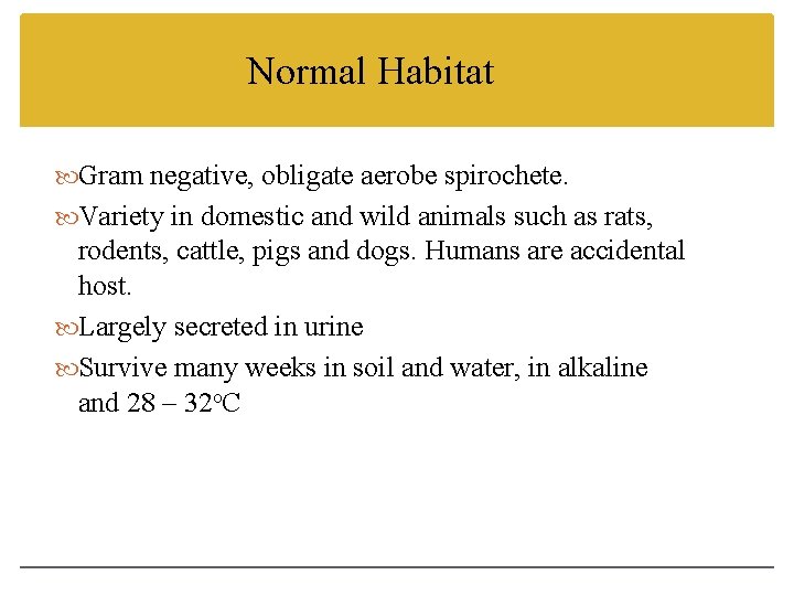 Normal Habitat Gram negative, obligate aerobe spirochete. Variety in domestic and wild animals such