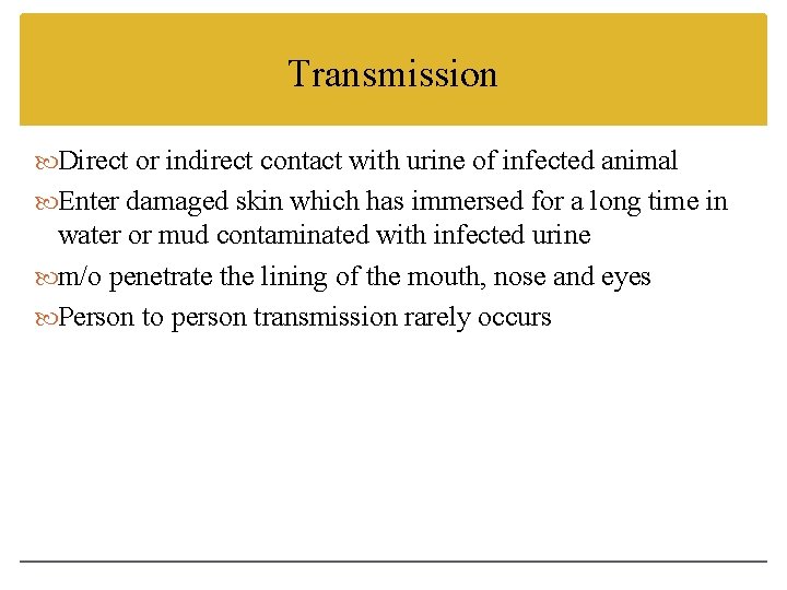 Transmission Direct or indirect contact with urine of infected animal Enter damaged skin which