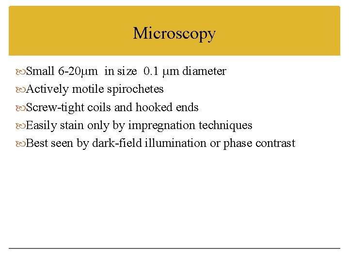 Microscopy Small 6 -20µm in size 0. 1 µm diameter Actively motile spirochetes Screw-tight