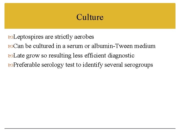 Culture Leptospires are strictly aerobes Can be cultured in a serum or albumin-Tween medium