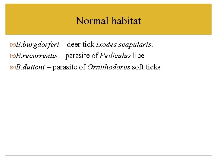 Normal habitat B. burgdorferi – deer tick, Ixodes scapularis. B. recurrentis – parasite of