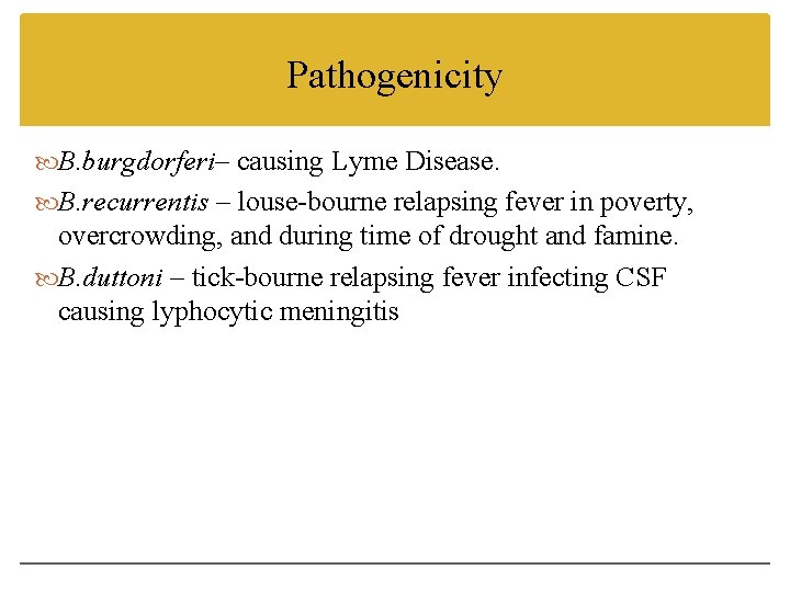 Pathogenicity B. burgdorferi– causing Lyme Disease. B. recurrentis – louse-bourne relapsing fever in poverty,