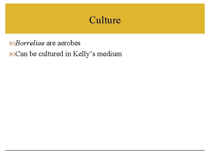 Culture Borreliae are aerobes Can be cultured in Kelly’s medium 