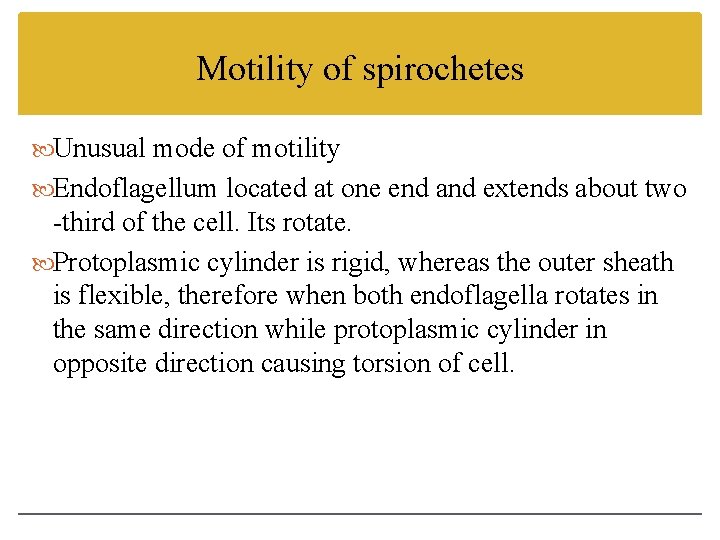 Motility of spirochetes Unusual mode of motility Endoflagellum located at one end and extends