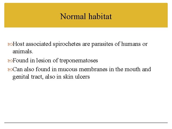 Normal habitat Host associated spirochetes are parasites of humans or animals. Found in lesion