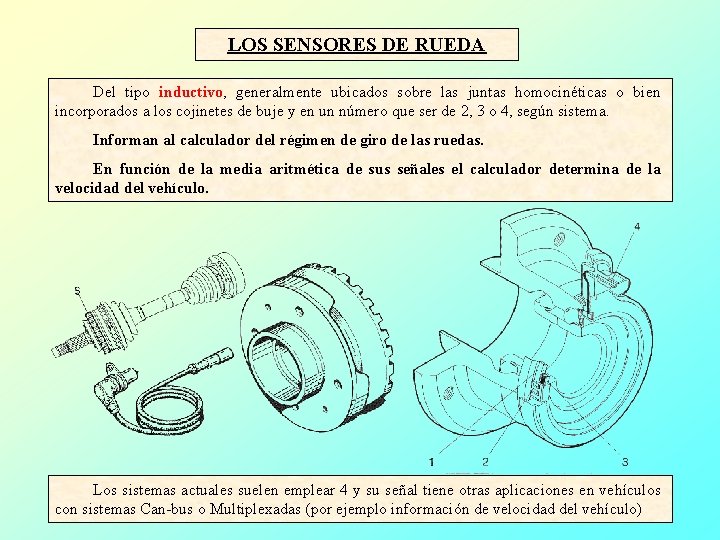 LOS SENSORES DE RUEDA Del tipo inductivo, generalmente ubicados sobre las juntas homocinéticas o