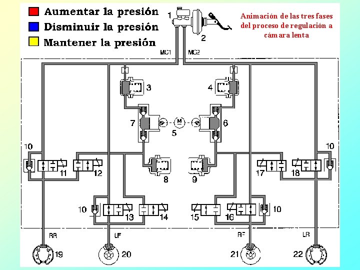 Animación de las tres fases del proceso de regulación a cámara lenta 