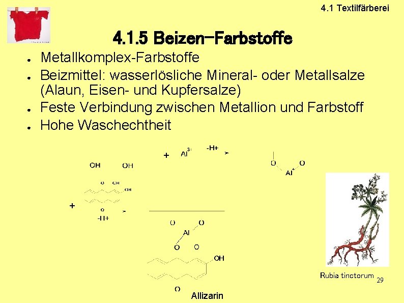 4. 1 Textilfärberei 4. 1. 5 Beizen-Farbstoffe ● ● Metallkomplex-Farbstoffe Beizmittel: wasserlösliche Mineral- oder