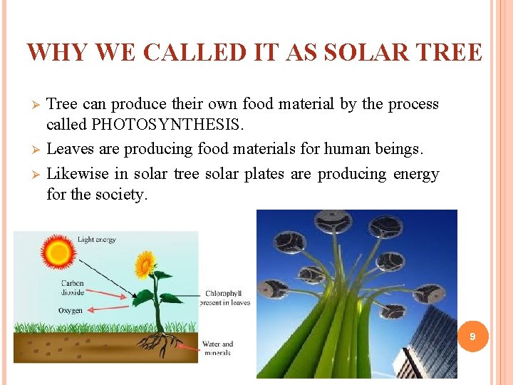 WHY WE CALLED IT AS SOLAR TREE Ø Ø Ø Tree can produce their