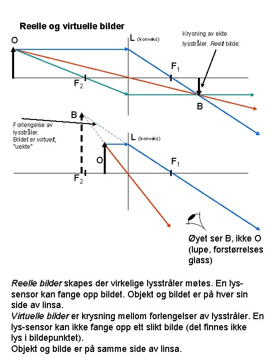 Reelle og virtuelle bilder Krysning av ekte L (konveks) O lysstråler. Reelt bilde. F