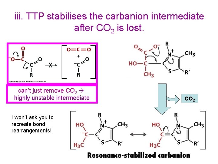 iii. TTP stabilises the carbanion intermediate after CO 2 is lost. can’t just remove