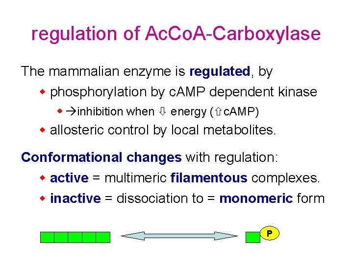 regulation of Ac. Co. A-Carboxylase The mammalian enzyme is regulated, by w phosphorylation by