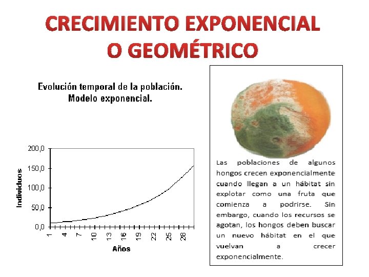 CRECIMIENTO EXPONENCIAL O GEOMÉTRICO 