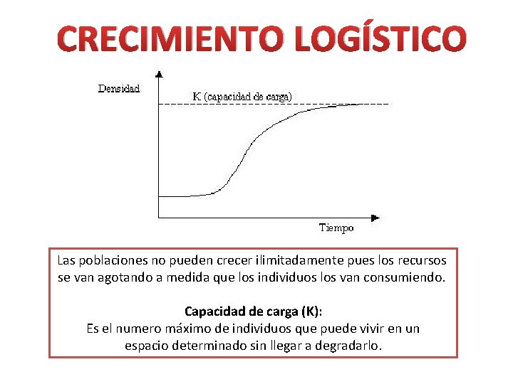 CRECIMIENTO LOGÍSTICO Las poblaciones no pueden crecer ilimitadamente pues los recursos se van agotando