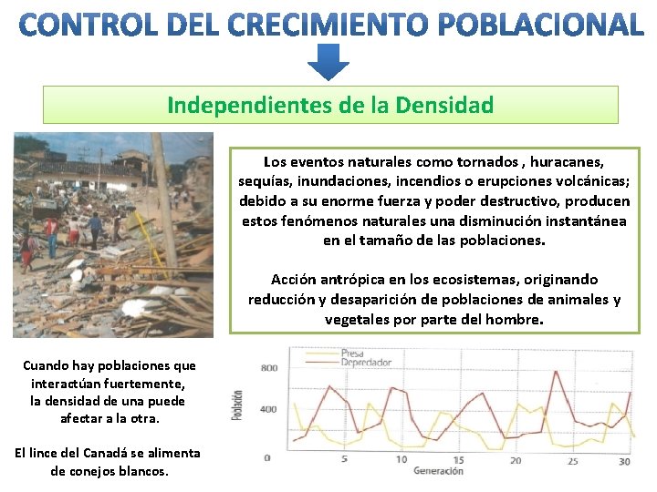 Independientes de la Densidad Los eventos naturales como tornados , huracanes, sequías, inundaciones, incendios