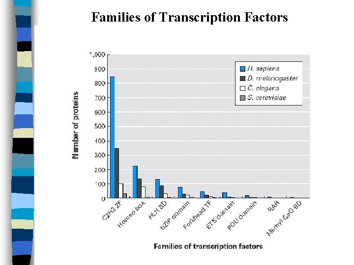 Families of Transcription Factors 