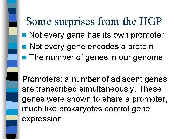 Some surprises from the HGP n Not every gene has its own promoter n