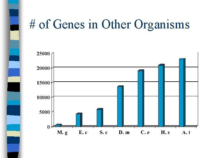 # of Genes in Other Organisms 