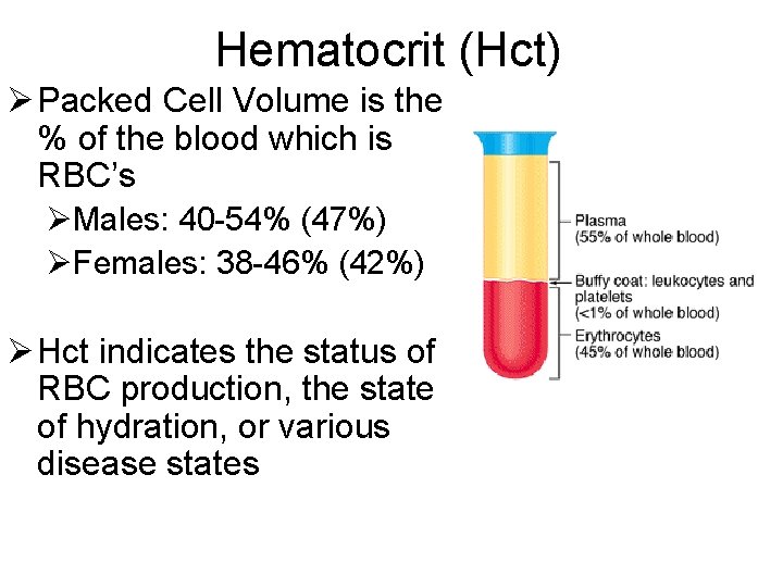 Hematocrit (Hct) Ø Packed Cell Volume is the % of the blood which is