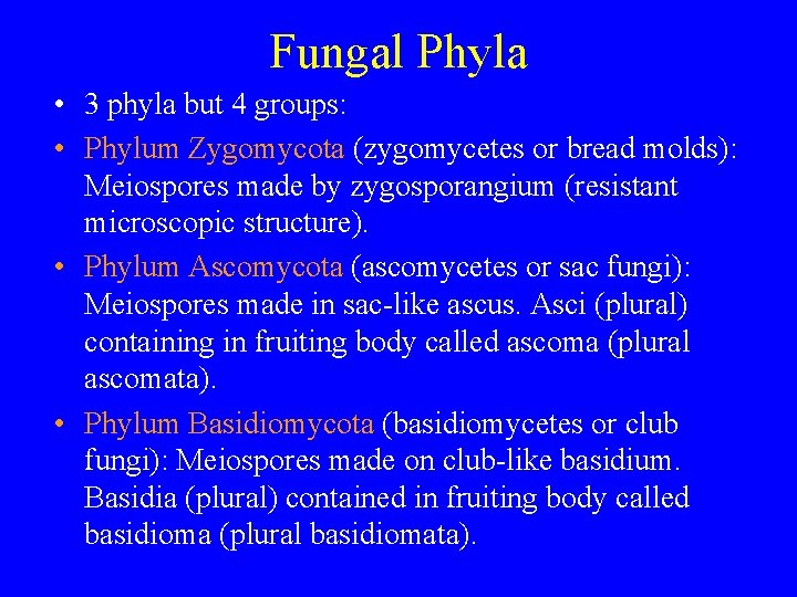 Fungal Phyla • 3 phyla but 4 groups: • Phylum Zygomycota (zygomycetes or bread