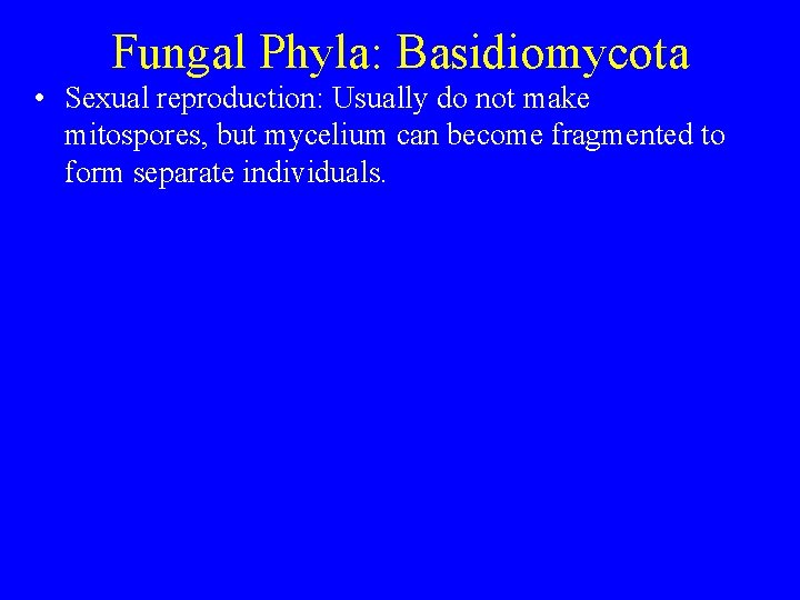 Fungal Phyla: Basidiomycota • Sexual reproduction: Usually do not make mitospores, but mycelium can Fungal Phyla: Basidiomycota • Sexual reproduction: Usually do not make mitospores, but mycelium can