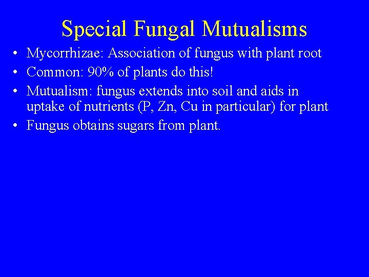 Special Fungal Mutualisms • Mycorrhizae: Association of fungus with plant root • Common: 90%