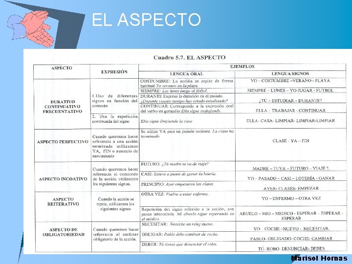 EL ASPECTO Marisol Hornas 