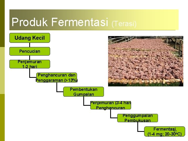 Produk Fermentasi (Terasi) Udang Kecil Pencucian Penjemuran 1 -2 hari Penghancuran dan Penggaraman (>13%)