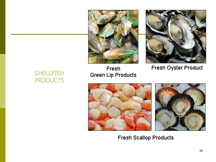 SHELLFISH PRODUCTS Fresh Green Lip Products Fresh Oyster Product Fresh Scallop Products 30 