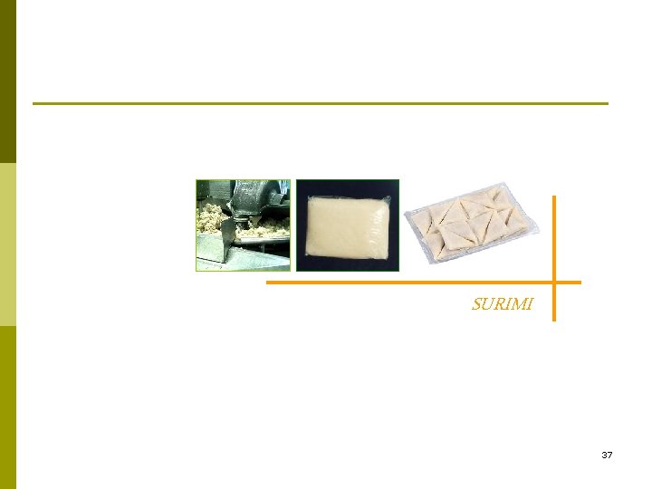 SURIMI 37 