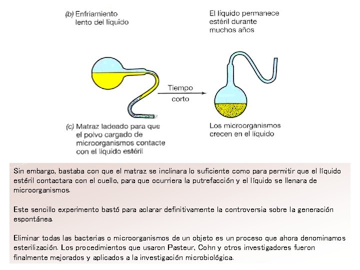 Sin embargo, bastaba con que el matraz se inclinara lo suficiente como para permitir